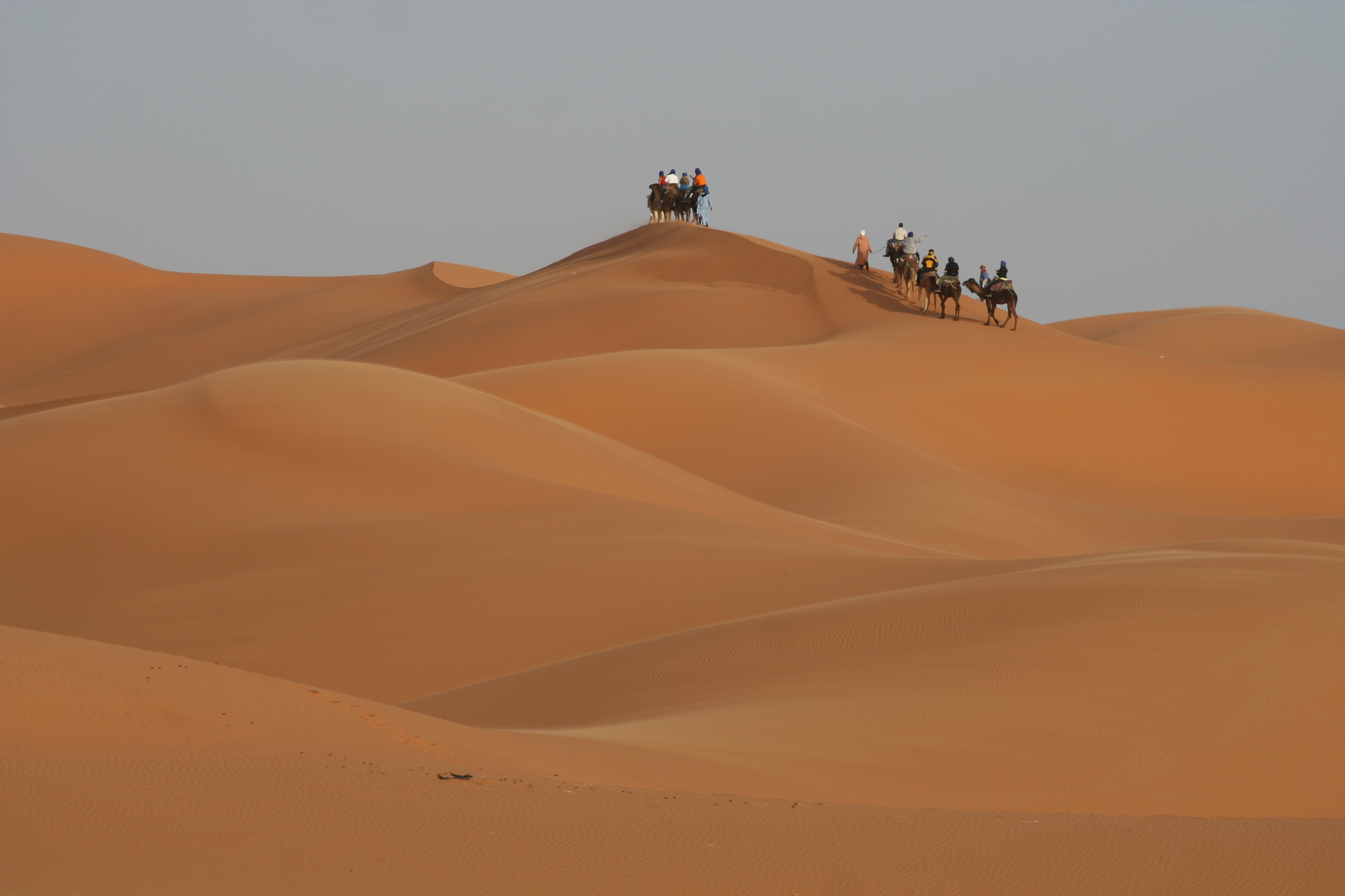 Wüste Sahara